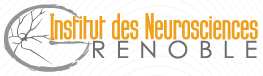 Grenoble Institut des Neurosciences